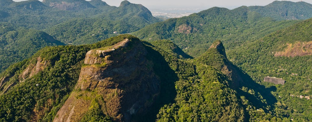Guided half-day Tijuca forest express hike