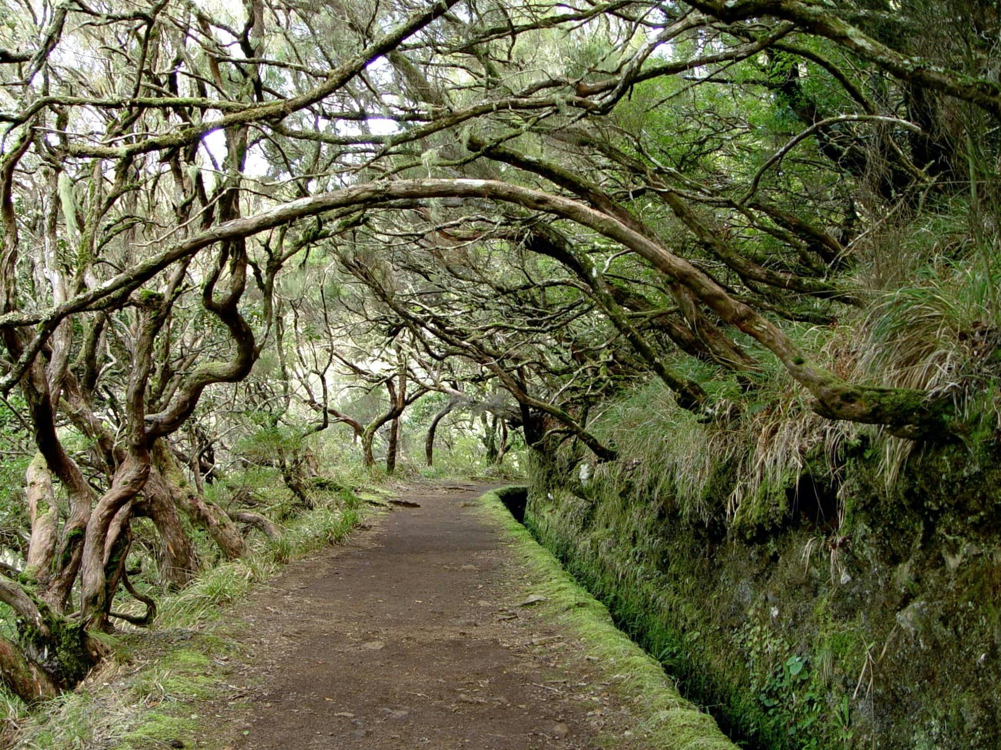 Rabaçal Valley Walking Tour