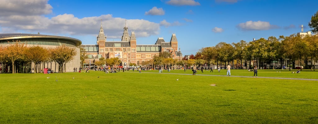 Visita combinada en Ámsterdam con Museo Van Gogh y crucero de 1 hora por los canales