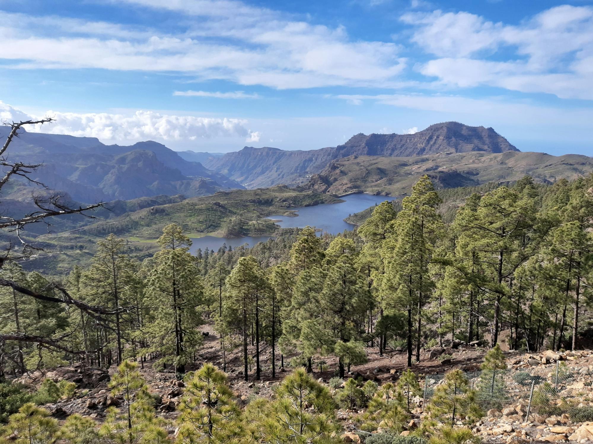 Wandeltocht van een hele dag op Gran Canaria: route van de week