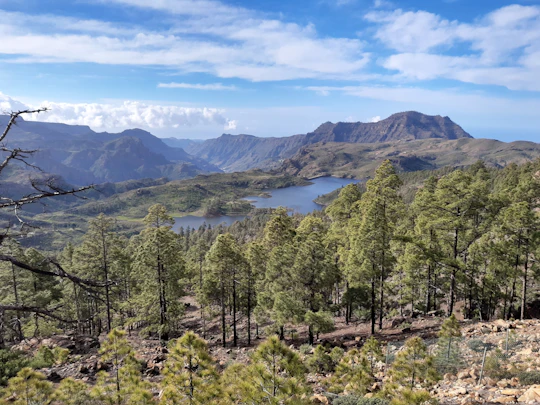 Full-day hiking tour in Gran Canaria: route of the week