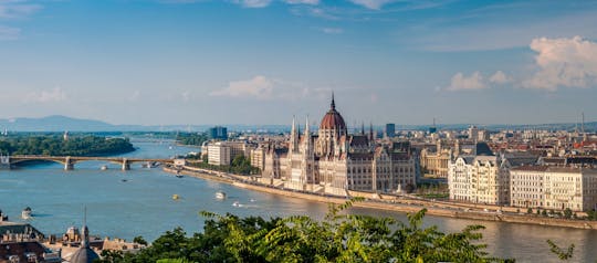 Danube River cruise with drink options