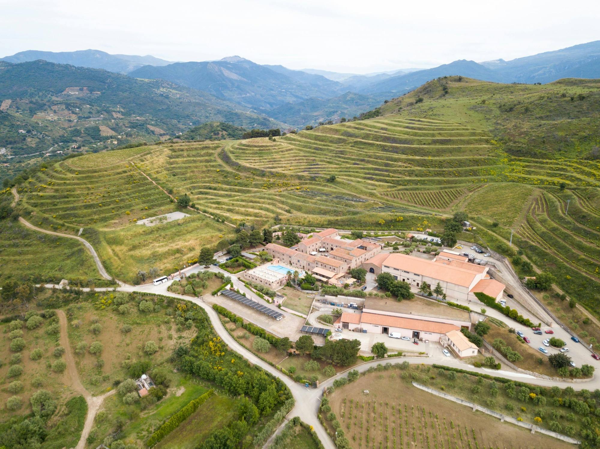 Wine Tasting and Castelbuono Tour from Cefalù