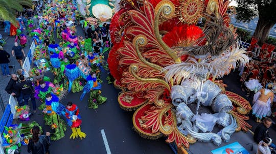 Transfer to Tenerife Carnival from the North – 04.03.2025