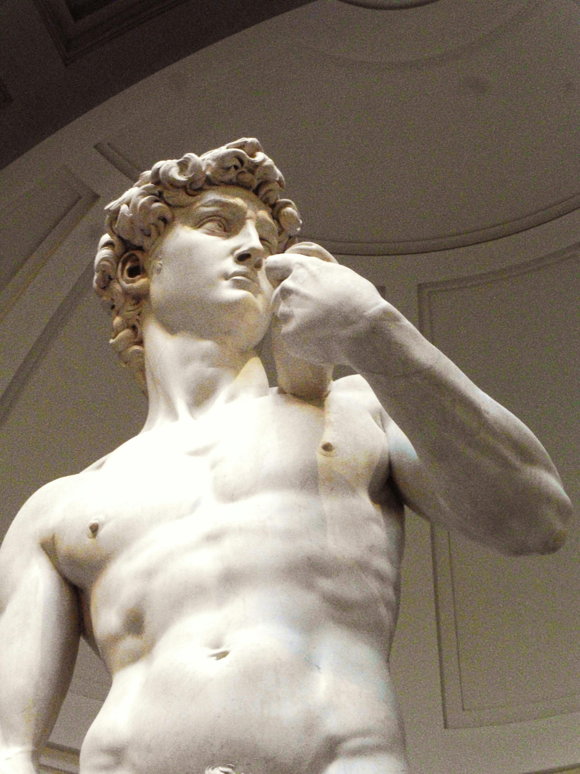 Ingresso fisso salta fila: tour per piccoli gruppi del David di Michelangelo
