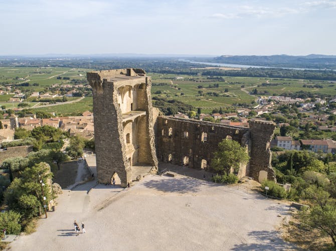 Chateaneuf-du-Pape and Luberon tour with wine tasting