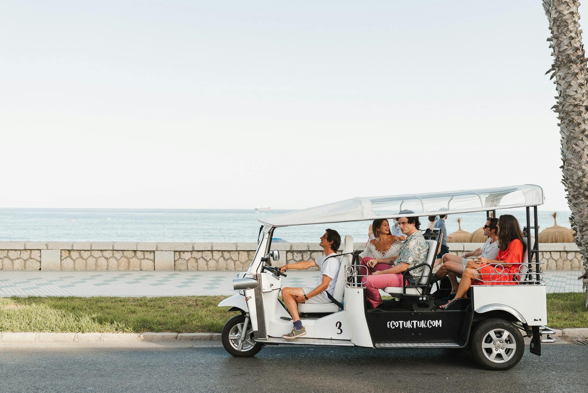 2-hour expert tour of Malaga in a private electric tuk-tuk Musement