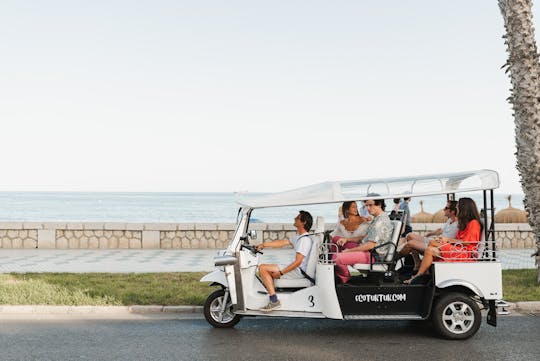 2-stündige Expertentour durch Malaga in einem privaten Elektro-Tuk-Tuk