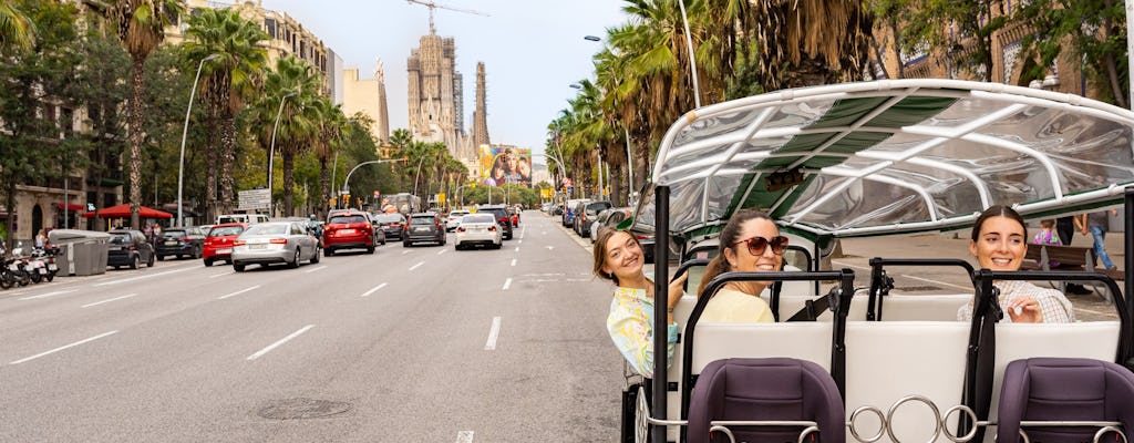 1-hour express tour of Barcelona in a private electric tuk-tuk