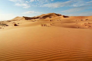 Visite guidée d’une demi-journée dans les dunes de sable du Sahara depuis Agadir