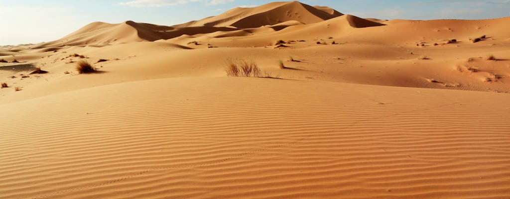 Half-day guided tour to Sahara sand dunes from Agadir