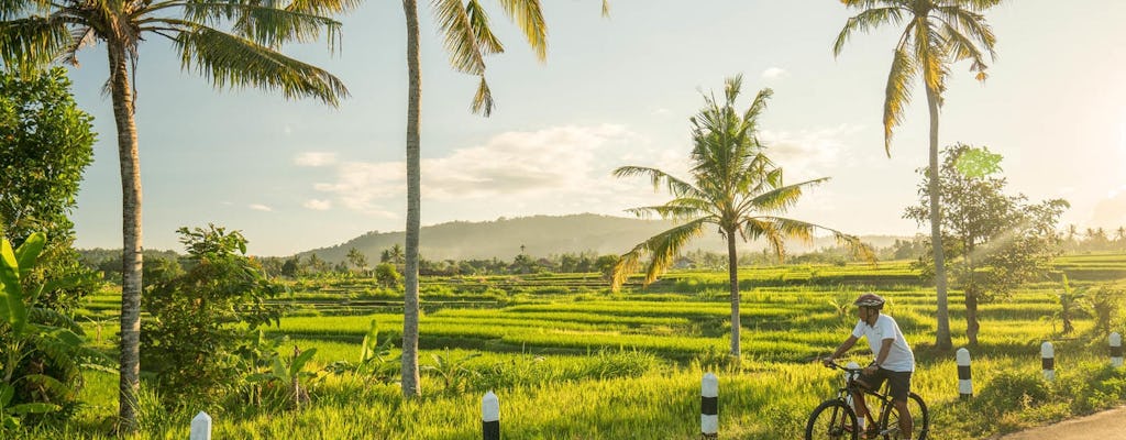 Tour de día completo en bicicleta y cascada en Ubud.