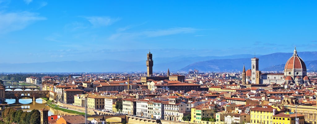 Accademia Gallery and Uffizi Guided Tour with Optional Lunch