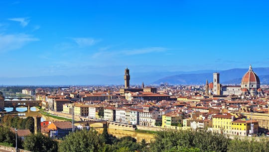 Accademia Gallery and Uffizi Guided Tour with Optional Lunch