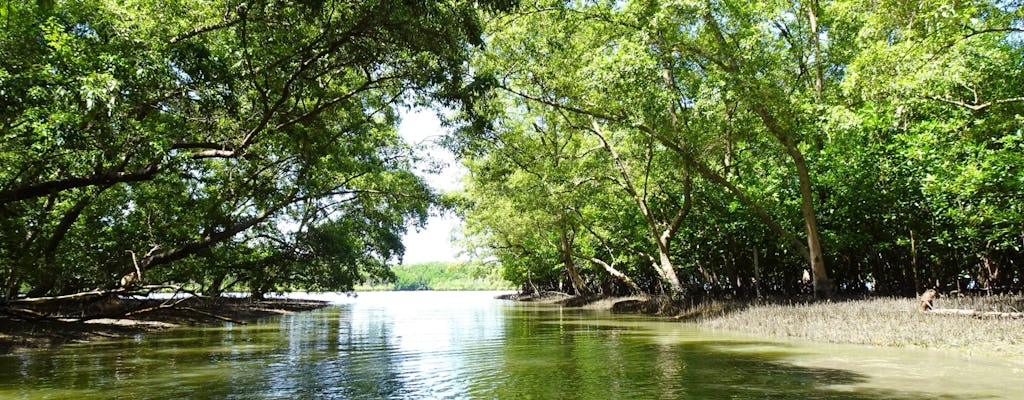 Wat Bang Kung temple visit and mangrove boat ride from Bangkok
