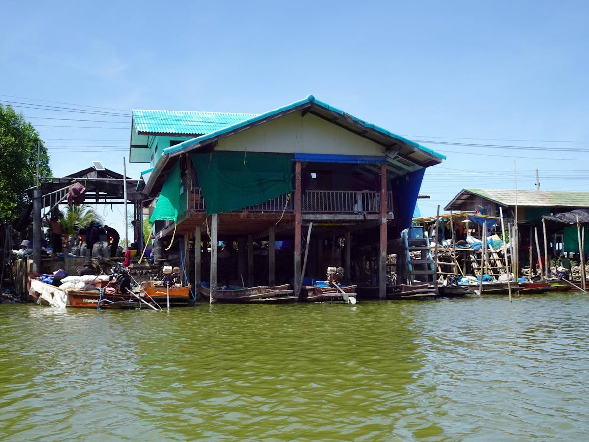 Mangrove Forest Conservation Centre