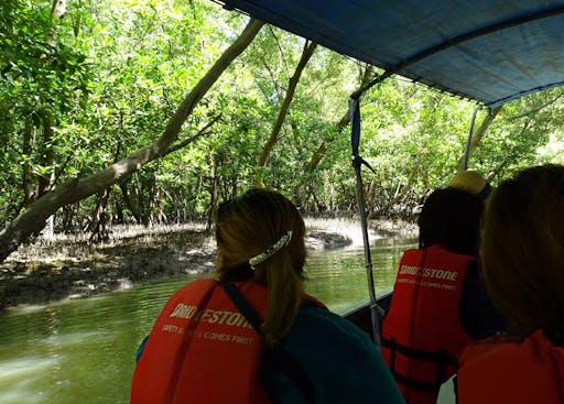 Mangrove Forest Conservation Centre