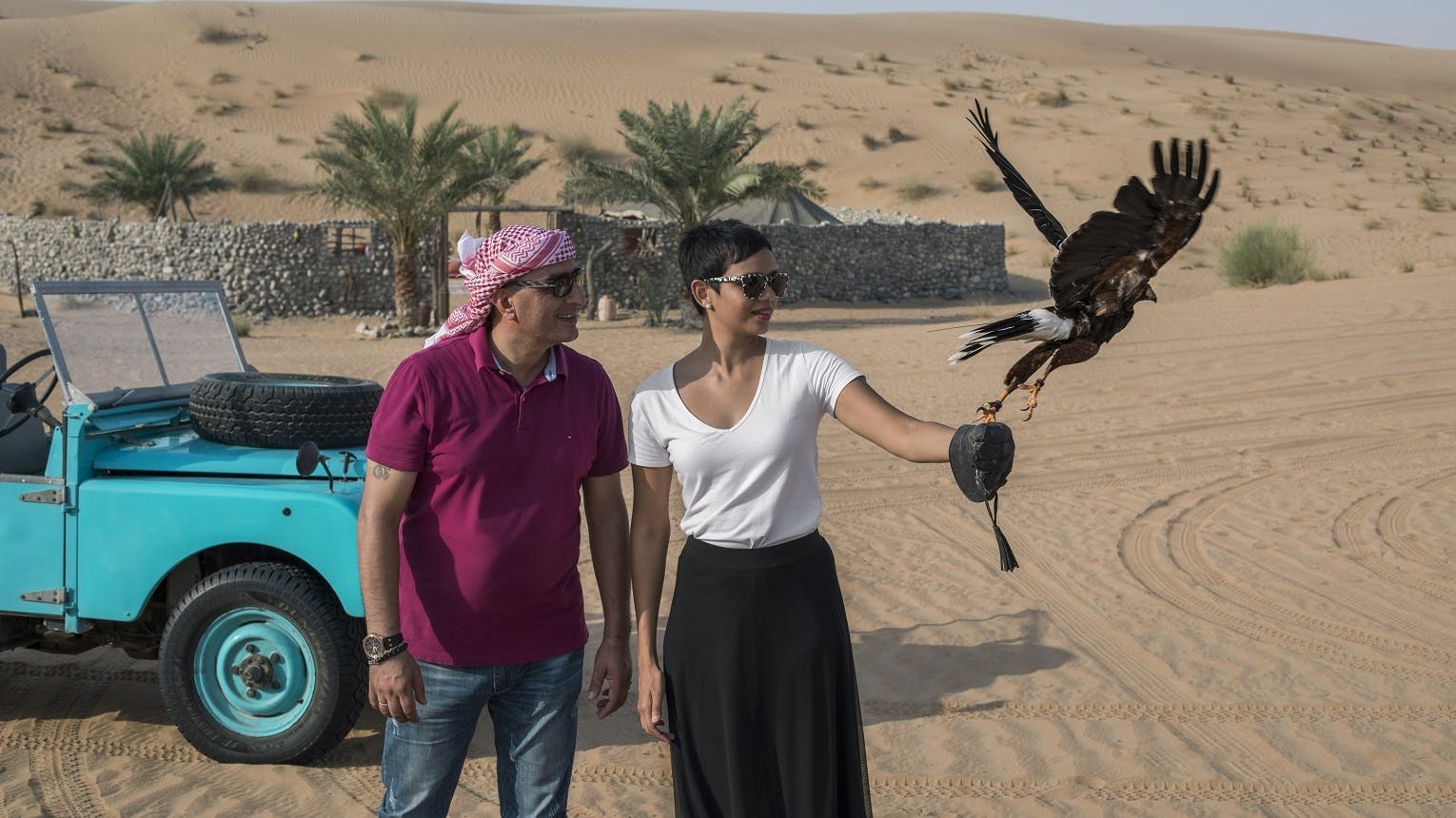 Experiência de falcoaria em Dubai e safári pela natureza com café da manhã