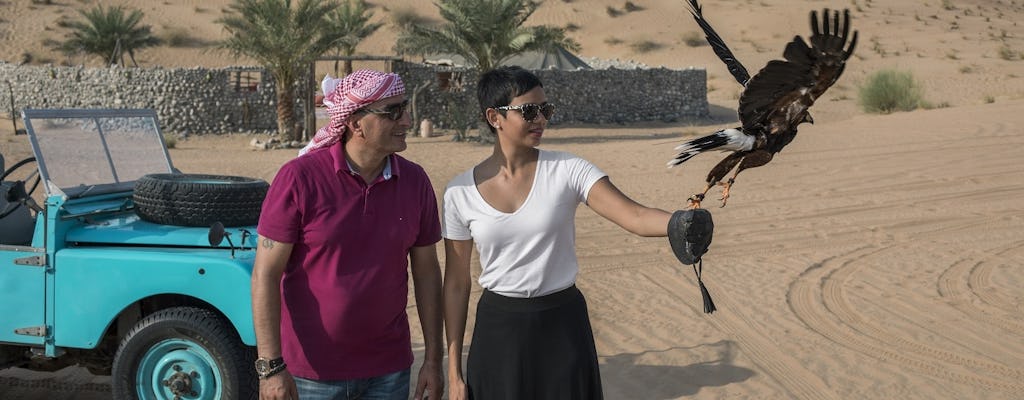 Dubai falconry experience and nature safari with breakfast