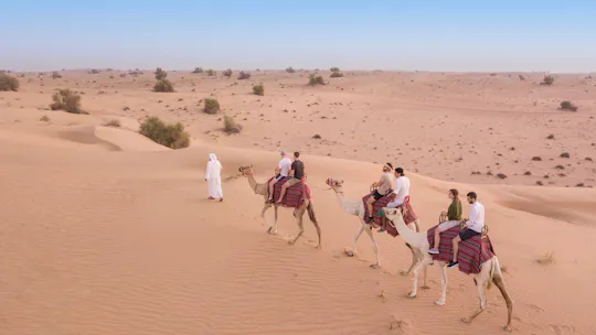 Dubai desert safari by camel with dinner