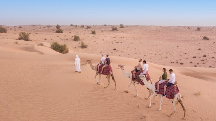 Safari por el desierto de Dubái en camello con cena