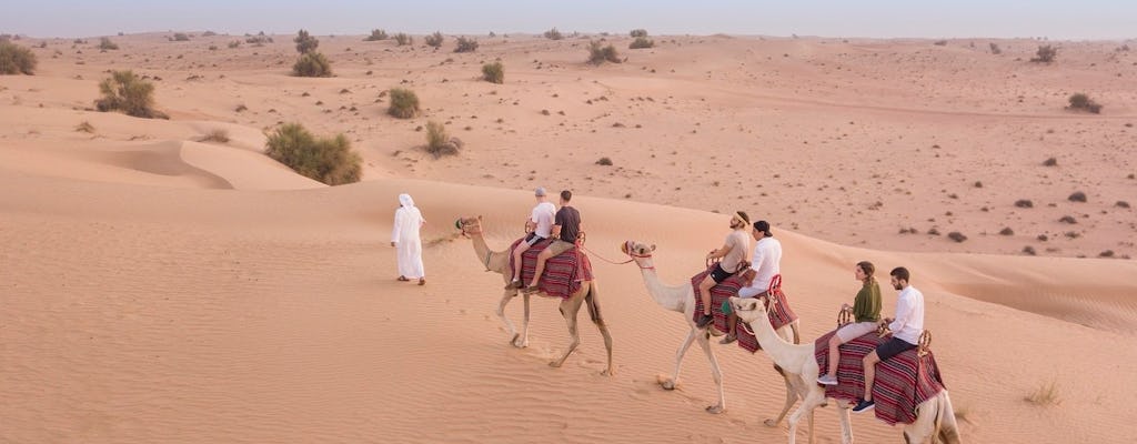 Safari no deserto de Dubai de camelo com jantar