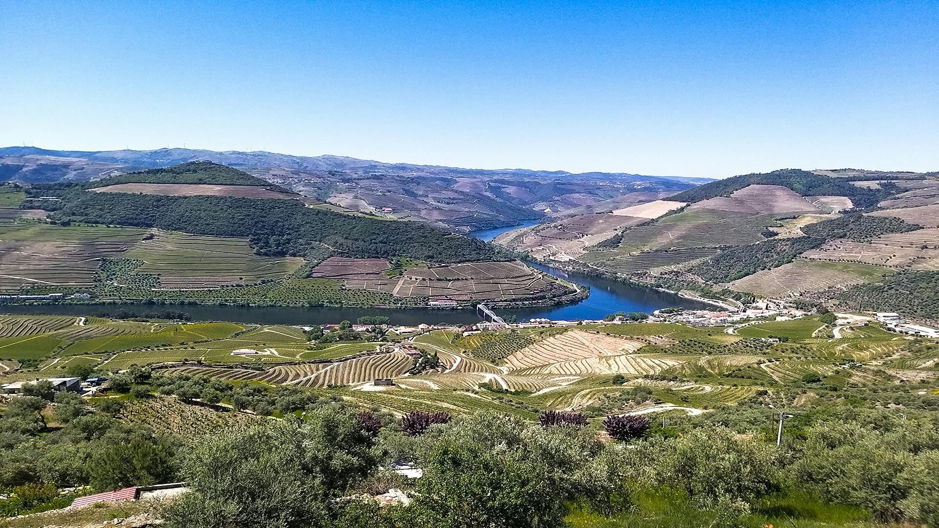 Full-day Douro Valley and wineries tour