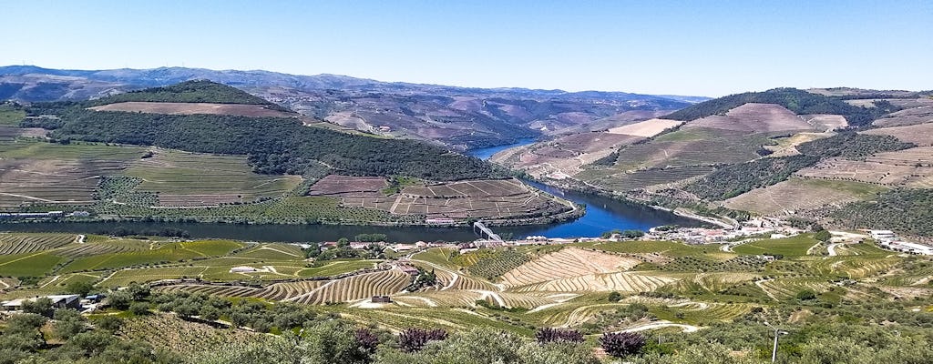 Tour di un'intera giornata nella valle del Douro e nelle cantine