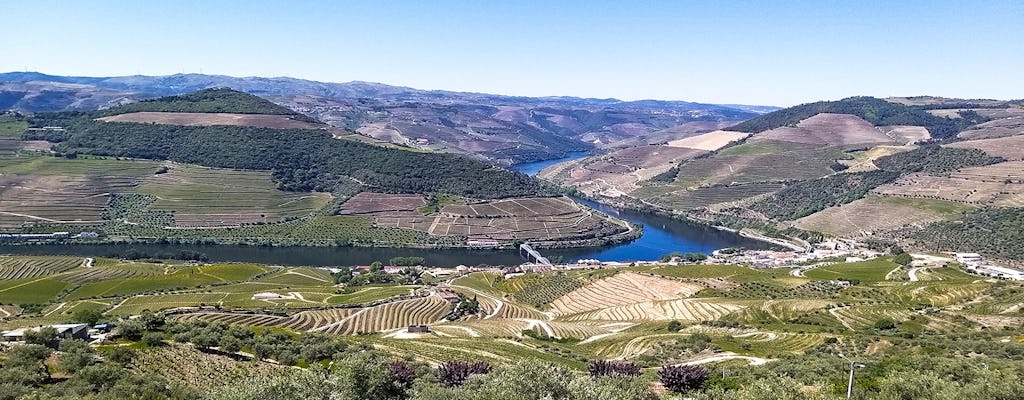 Full-day Douro Valley and wineries tour