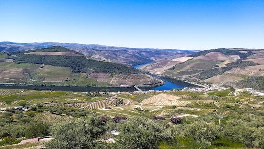 Tour de dia inteiro pelo Vale do Douro e vinícolas