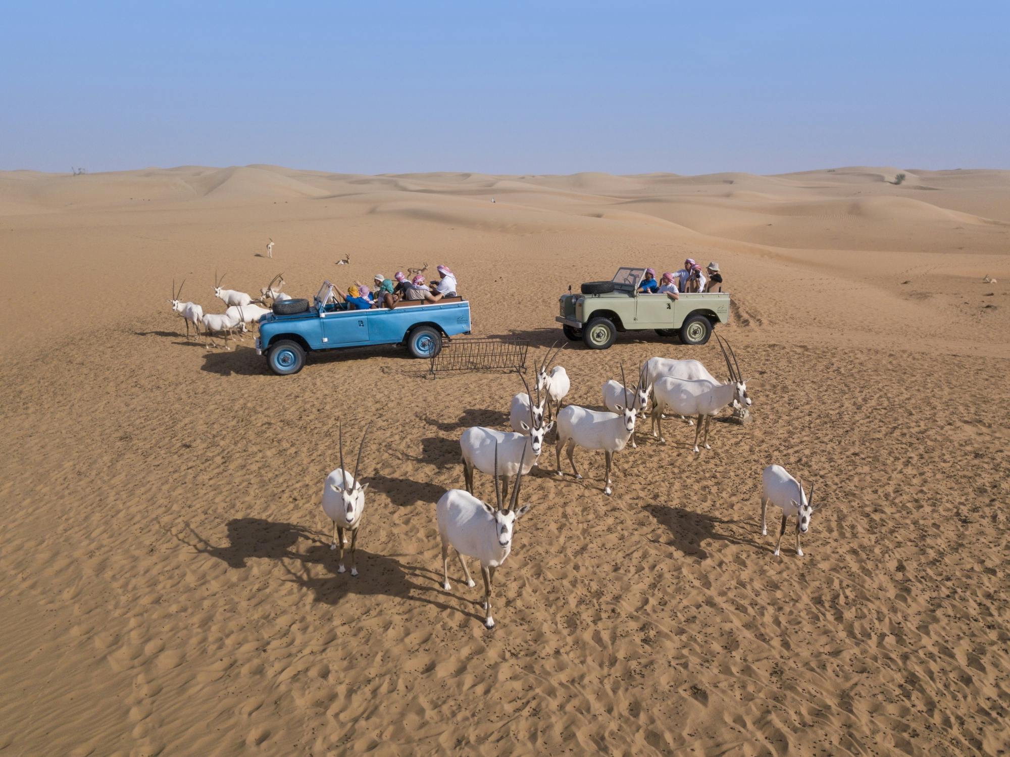 Safari no deserto de Dubai em Land Rover vintage com jantar