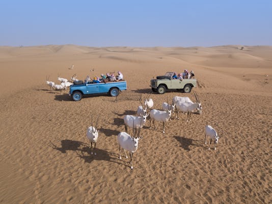 Safari po pustyni w Dubaju zabytkowym Land Roverem z kolacją