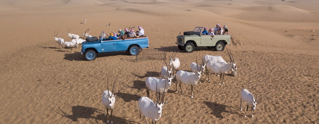 Safari po pustyni w Dubaju zabytkowym Land Roverem z kolacją