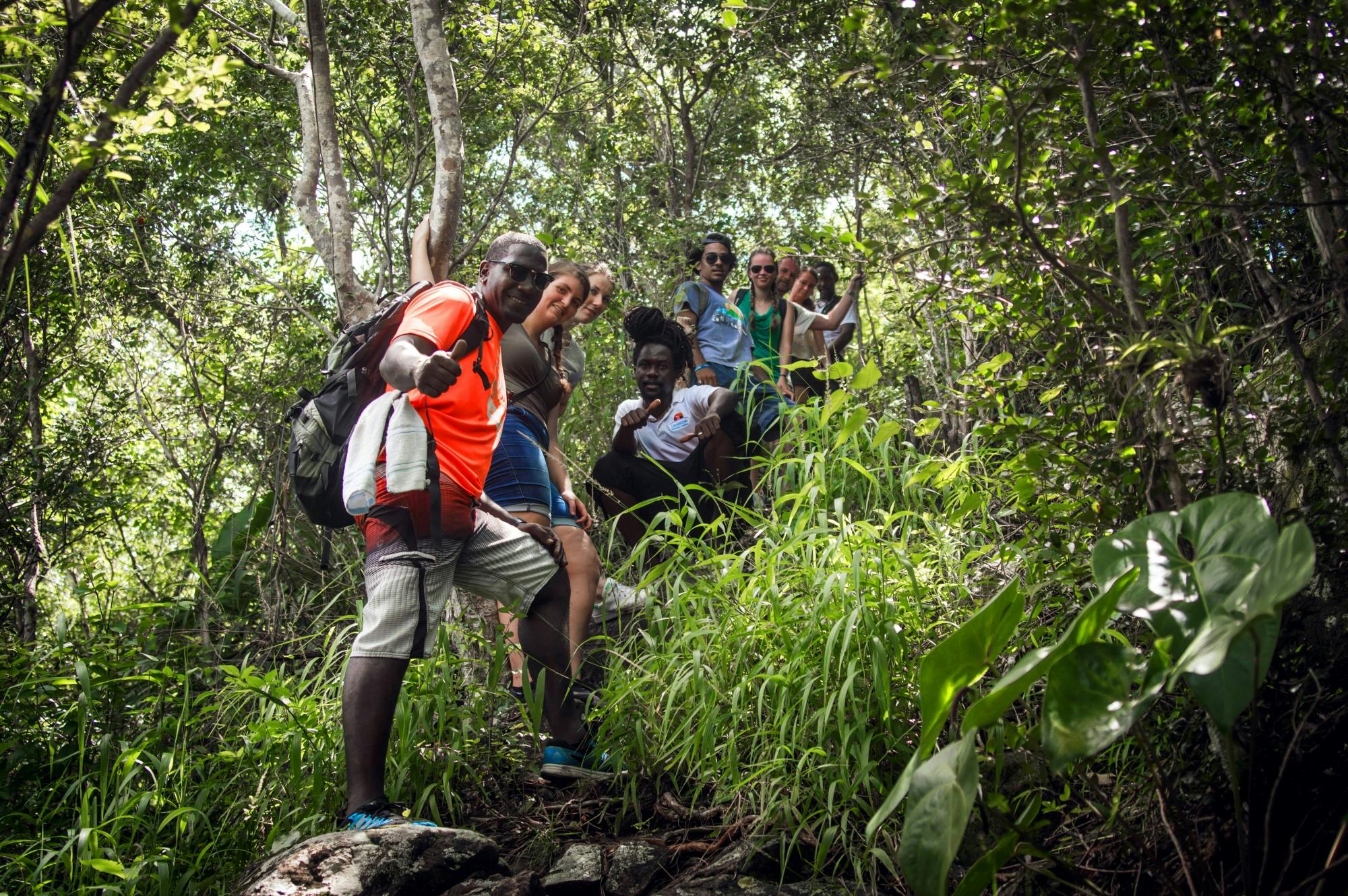 Mount Pimard Scenic Hike