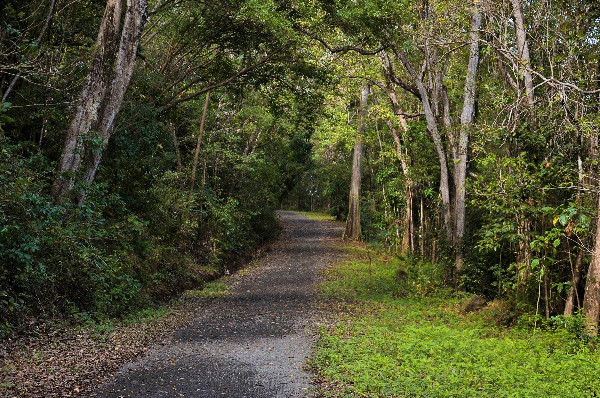 Mount Pimard Scenic Hike