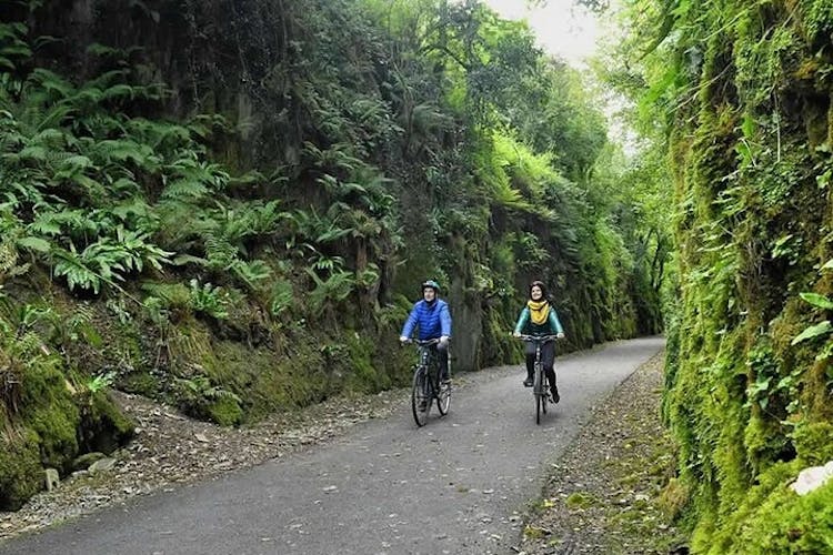 Limerick Greenway Bicycle Hire