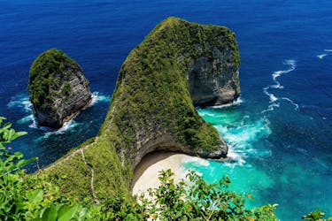 Nusa Penida Snorkeling and Kelingking Cliff with Lunch