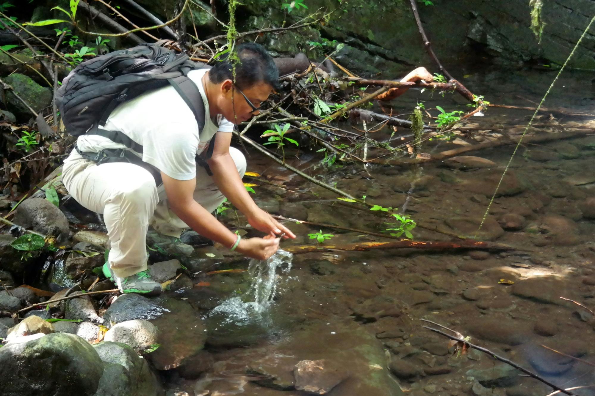 Deep Jungle Trekking by BJT