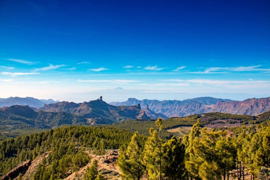 Randonnée aux cascades de Gran Canaria avec prise en charge et déjeuner