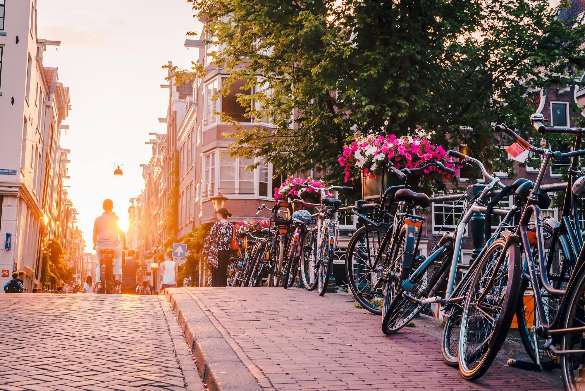 Bike rentals in Amsterdam