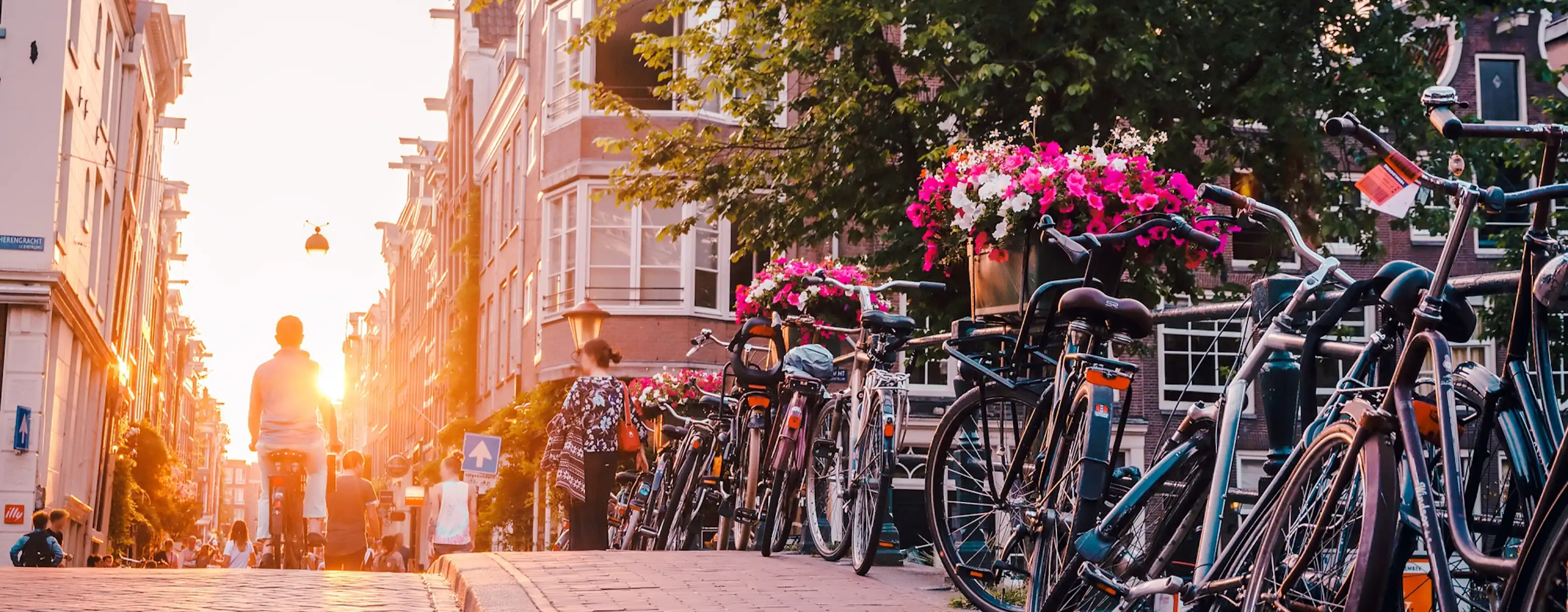 Bike rentals in Amsterdam: bilety i wycieczki