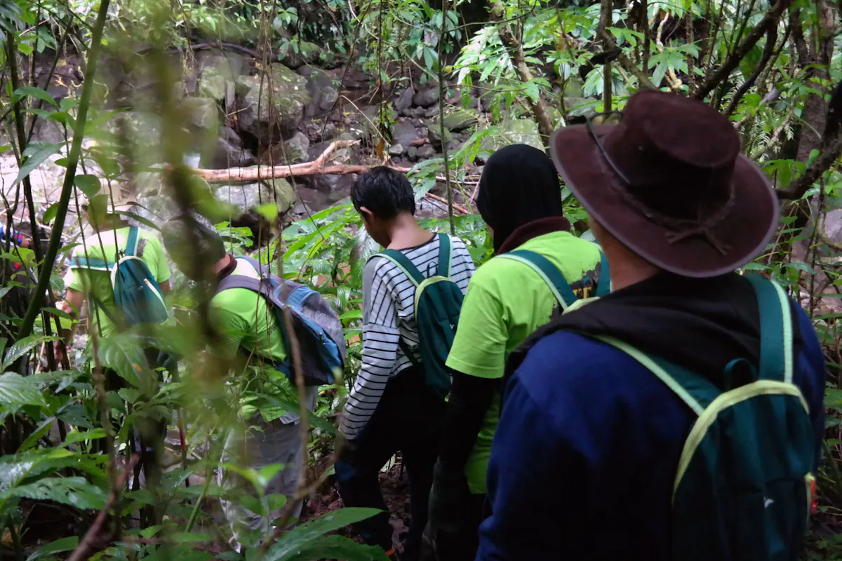 Deep Jungle Trekking by BJT