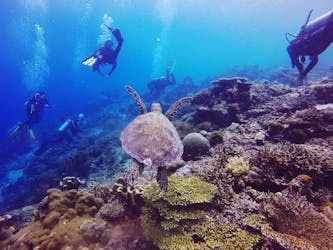 Diving experiences and courses in Marsa Alam