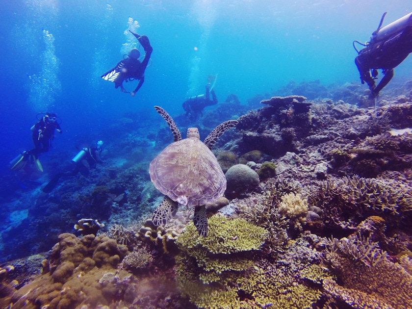 Other sports in Marsa Alam - Quseir Other sports in Marsa Alam - Quseir