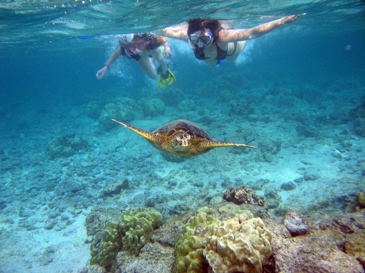 Cape Verde Snorkelling Tour from Sal