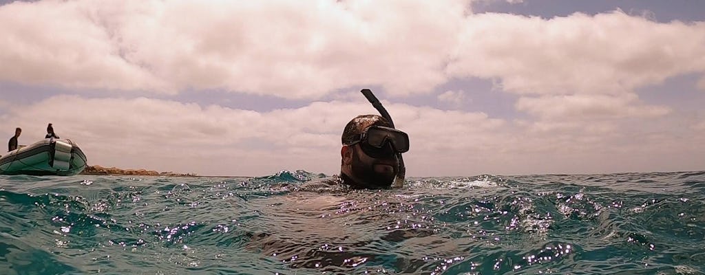 Excursion de plongée en apnée au Cap-Vert au départ de Sal