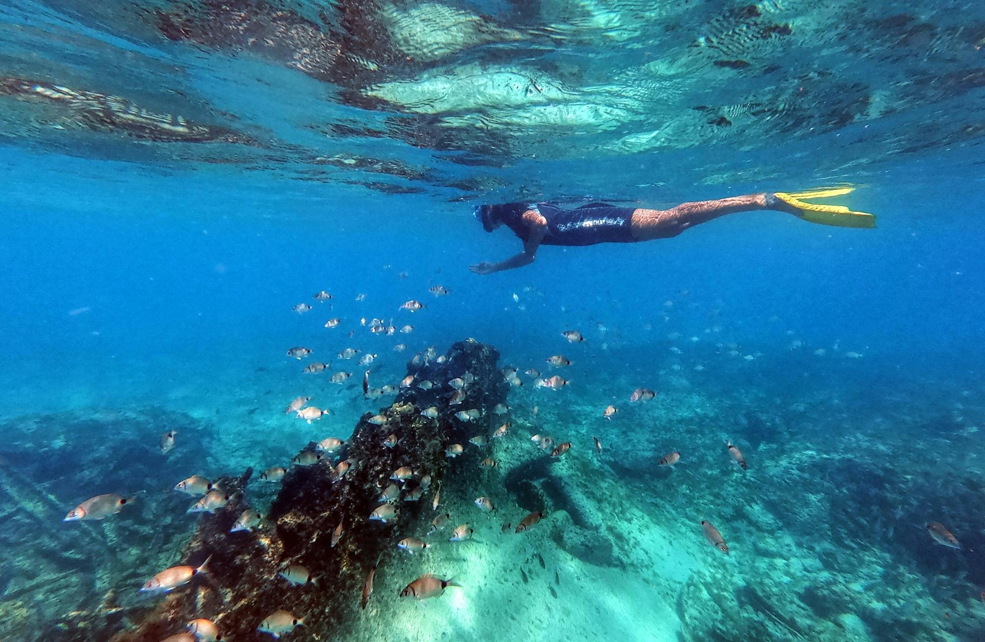 Cape Verde Snorkelling Tour from Sal