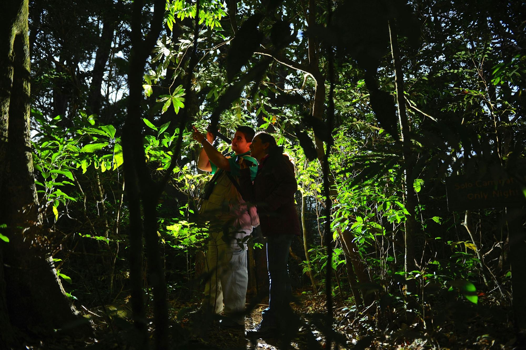 Monteverde Cloud Forest Biological Reserve by Night