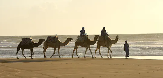 Geführter Kamelritt in Essaouira