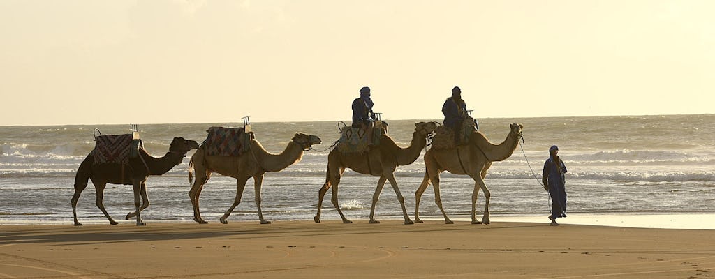 Passeio guiado de camelo em Essaouira